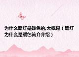 为什么路灯是暖色的,大概是（路灯为什么是暖色简介介绍）