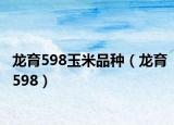 龙育598玉米品种（龙育598）