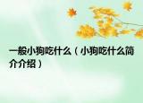 一般小狗吃什么（小狗吃什么简介介绍）