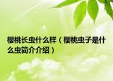 樱桃长虫什么样（樱桃虫子是什么虫简介介绍）