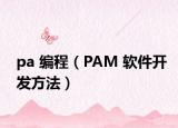 pa 编程（PAM 软件开发方法）