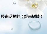 经甫泛树蛙（经甫树蛙）