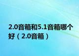 2.0音箱和5.1音箱哪个好（2.0音箱）
