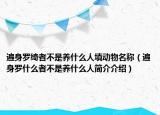 遍身罗绮者不是养什么人填动物名称（遍身罗什么者不是养什么人简介介绍）