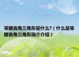 等腰直角三角形是什么?（什么是等腰直角三角形简介介绍）