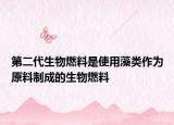 第二代生物燃料是使用藻类作为原料制成的生物燃料