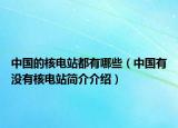 中国的核电站都有哪些（中国有没有核电站简介介绍）
