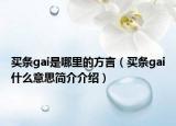 买条gai是哪里的方言（买条gai什么意思简介介绍）