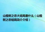 山楂树之恋大结局是什么（山楂树之恋结局简介介绍）