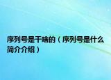序列号是干啥的（序列号是什么简介介绍）