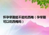 怀孕早期能不能吃西梅（孕早期可以吃西梅吗）
