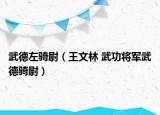 武德左骑尉（王文林 武功将军武德骑尉）