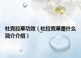 杜克拉草功效（杜拉克草是什么简介介绍）