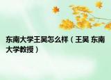 东南大学王昊怎么样（王昊 东南大学教授）