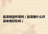 盐藻有副作用吗（盐藻是什么对身体有好处吗）