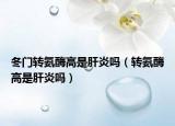 冬门转氨酶高是肝炎吗（转氨酶高是肝炎吗）