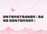 微电子组件属于集成电路吗（集成电路 微型电子器件或部件）