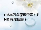 snkrs怎么变成中文（SNK 程序后缀）