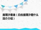 魔理沙是谁（白丝魔理沙是什么简介介绍）