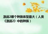 激战2哪个种族体型最大（人类 《激战2》中的种族）