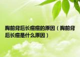 胸前背后长痘痘的原因（胸前背后长痘是什么原因）
