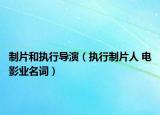 制片和执行导演（执行制片人 电影业名词）