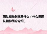 团队精神到底是什么（什么是团队精神简介介绍）