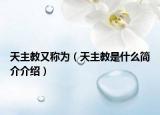 天主教又称为（天主教是什么简介介绍）