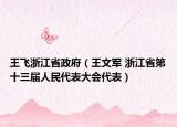 王飞浙江省政府（王文军 浙江省第十三届人民代表大会代表）
