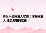 再见只是陌生人歌曲（你好陌生人 任然演唱的歌曲）