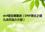 dnf塔在哪里进（DNF领主之塔几点开简介介绍）