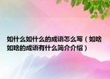 如什么如什么的成语怎么写（如啥如啥的成语有什么简介介绍）