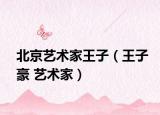 北京艺术家王子（王子豪 艺术家）