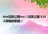 she河滨公园mv（河滨公园 S.H.E演唱的歌曲）