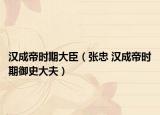 汉成帝时期大臣（张忠 汉成帝时期御史大夫）