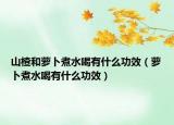 山楂和萝卜煮水喝有什么功效（萝卜煮水喝有什么功效）