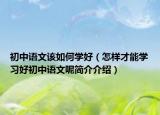 初中语文该如何学好（怎样才能学习好初中语文呢简介介绍）