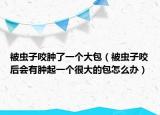 被虫子咬肿了一个大包（被虫子咬后会有肿起一个很大的包怎么办）