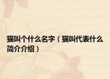 猫叫个什么名字（猫叫代表什么简介介绍）