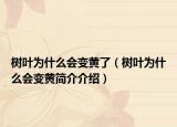 树叶为什么会变黄了（树叶为什么会变黄简介介绍）