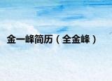 金一峰简历（全金峰）
