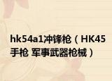 hk54a1冲锋枪（HK45手枪 军事武器枪械）