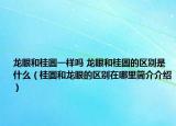 龙眼和桂圆一样吗 龙眼和桂圆的区别是什么（桂圆和龙眼的区别在哪里简介介绍）