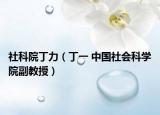 社科院丁力（丁一 中国社会科学院副教授）