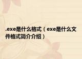 .exe是什么格式（exe是什么文件格式简介介绍）