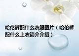 哈伦裤配什么衣服图片（哈伦裤配什么上衣简介介绍）
