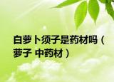 白萝卜须子是药材吗（萝子 中药材）