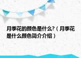 月季花的颜色是什么?（月季花是什么颜色简介介绍）