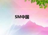 SM中国