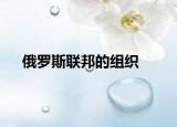俄罗斯联邦的组织